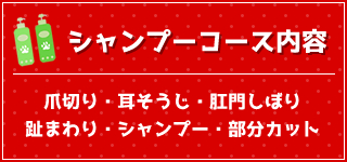 シャンプーコース内容